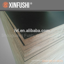 F17 concrete plywood for Australia